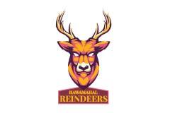 Hawamahal Reindeer