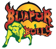 Bijapur Bulls
