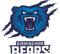 Birmingham Bears